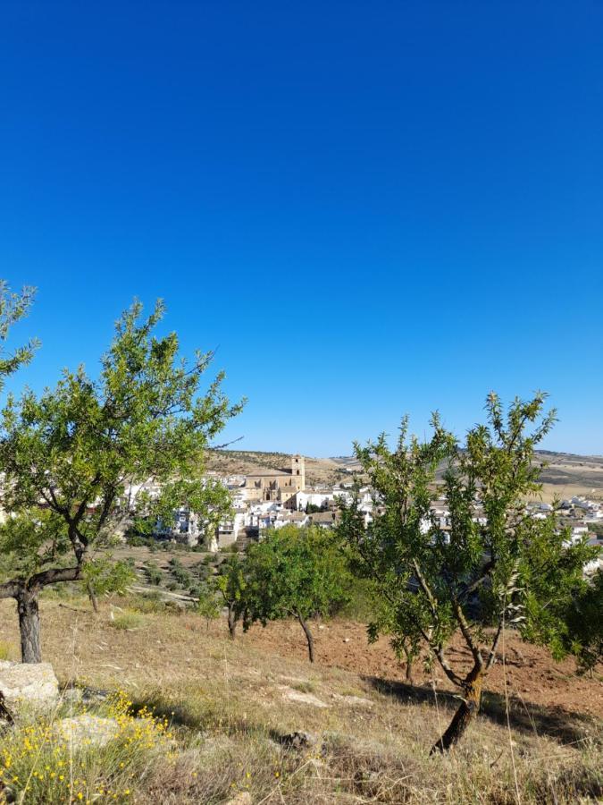 La Casita De Papel Alhama De Granada 빌라 외부 사진